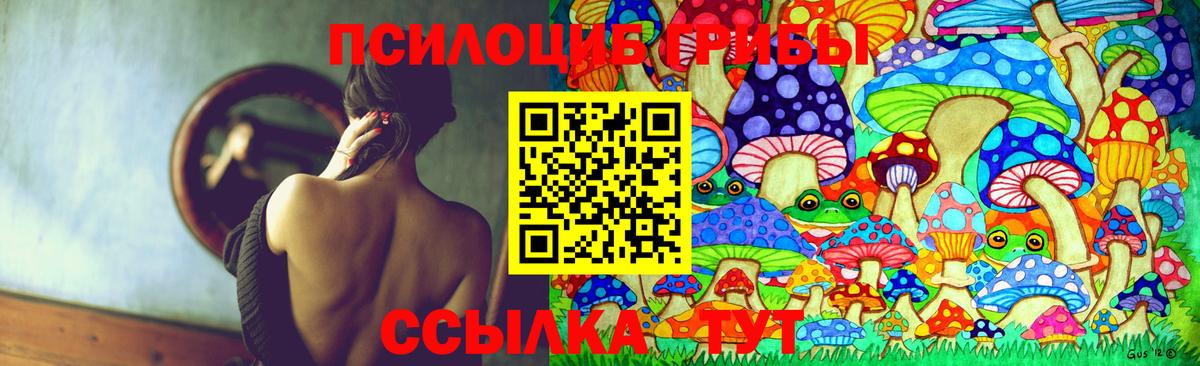 Псилоцибиновые грибы мицелий  Вход с VPN  Нальчик 