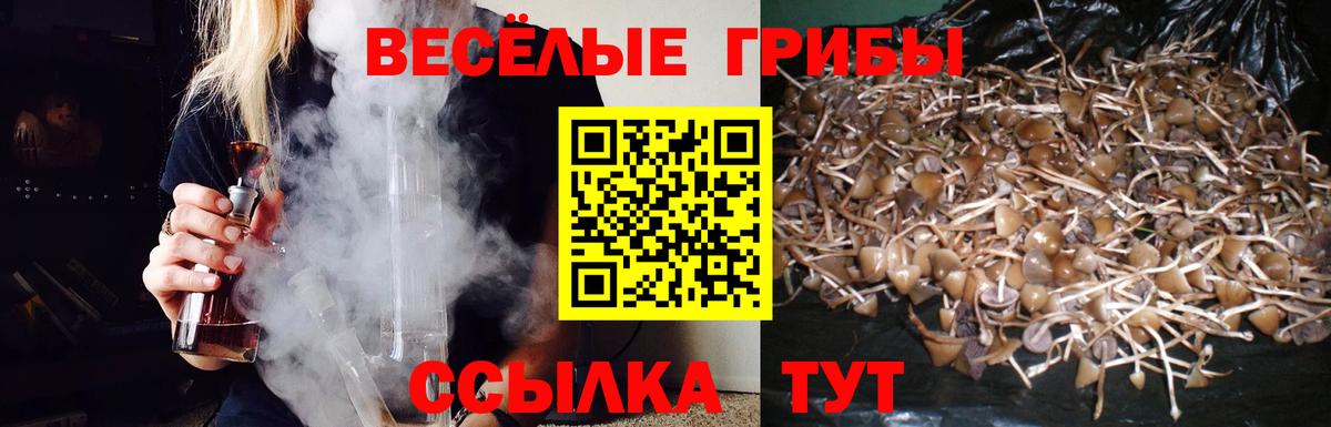 Галлюциногенные грибы мицелий Нальчик